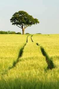 tips to find your purpose